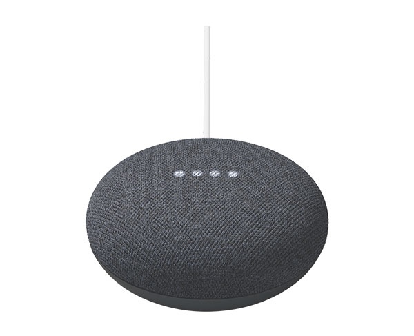 Google Nest Mini, Privacy & security guide